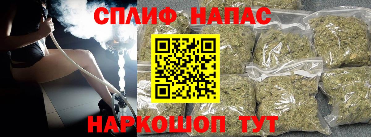 Бошки Шишки план Пушкино